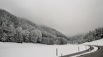 Mariazeller Matinée 2000: Gedanken zum dritten Adventsonntag
